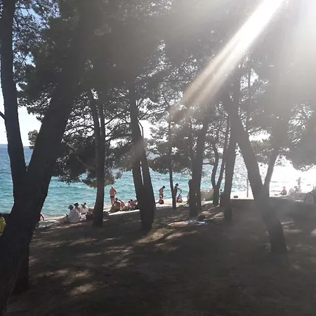 Logorun Stone House 10 M From The Sea Tribalj