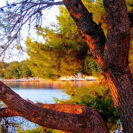 Διαμέρισμα Logorun Stone House 10 M From The Sea *