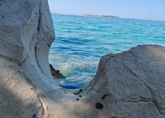 Appartement Logorun Stone House 10 M From The Sea