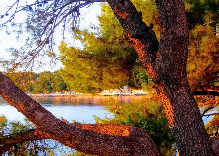 Apartament Logorun Stone House 10 M From The Sea *